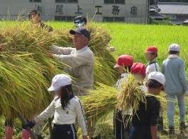 稲刈り体験（下里小３年生）