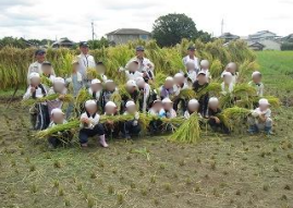 稲刈り体験の様子（下里小３年生）